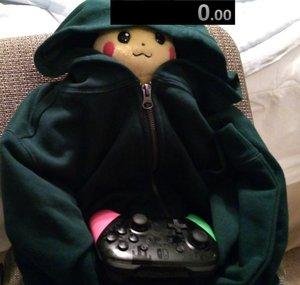 pikraken speedrun