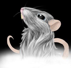 Scarlett Souris