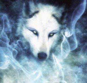 Thunderdog7311