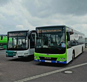 Transport & ÖPNV