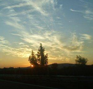 TrueToTheLight