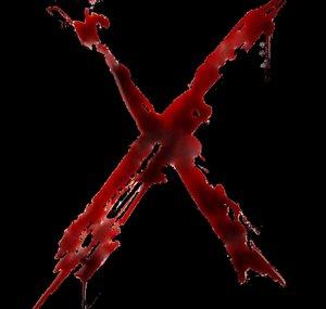 X00zySageX 