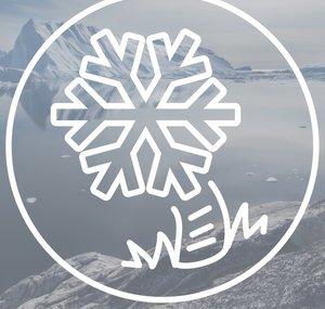 Arctic PalmTrees