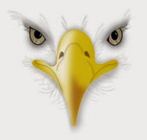 birdbrain56