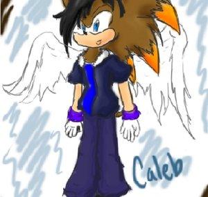 CalebTheAngelHedghog