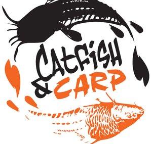 Catfish and Carp