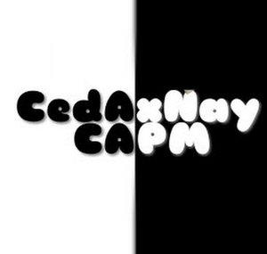 CedAxNay CAPM