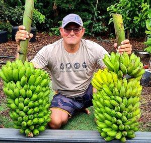 Doug's rare fruit farm