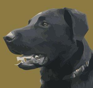Early Morning Barking Blogs