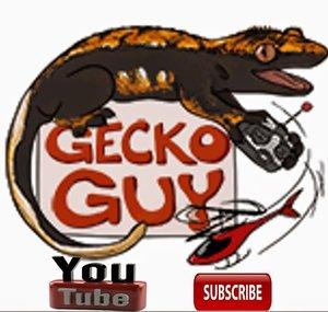 GeckoGuy