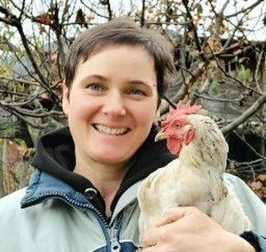 Hennenglück im Biogarten