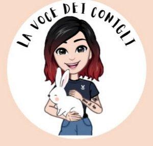 lavocedeiconigli