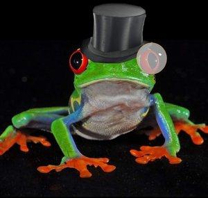 Lord Of The Tree Frogs