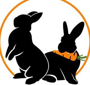 Möhren sind orange e.V.