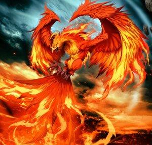 Phoenix69778