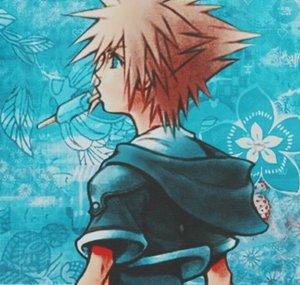 Silv Sora