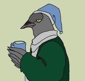 SleepyJackdaw
