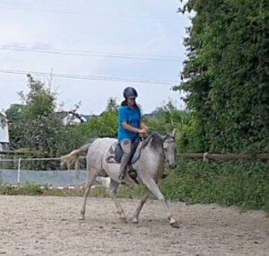 TinkGermanHorses