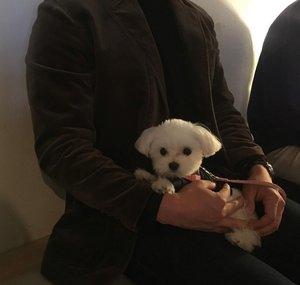 vlad bolkonsky