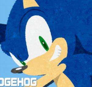 234BANDICOOT
