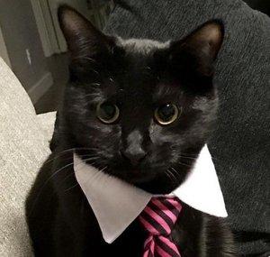 Bruj