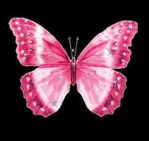ButterflyRoseX