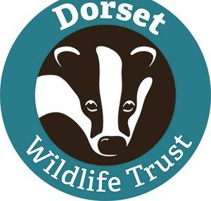 Dorset Wildlife Trust