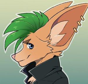 Duhey the Fennec