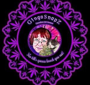 GingaSnapZ