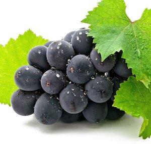 Grape Daily