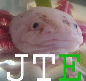 JimTheEvo