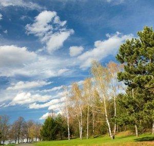 Meditation and Relaxation by Creation