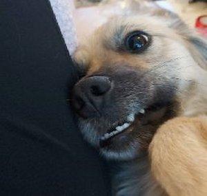 ØRiGiNÆŁ