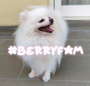 Sweet Berry Family
