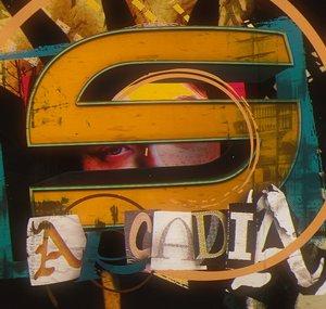 synergy arcadia