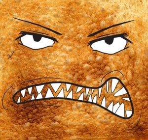 TOAST BIKES