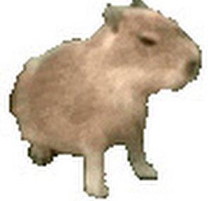 Wammer