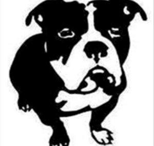 BigDawg Media