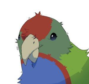 Bird Brain