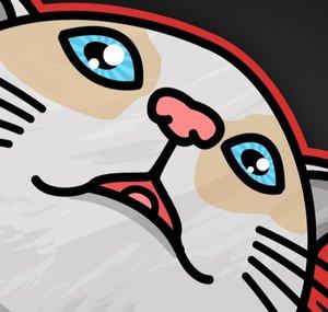 Canal do Void