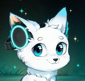 Kinda Fox'D