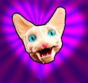 Love Me Cat
