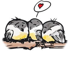RailCowBirds