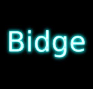 Squidgy Bidge