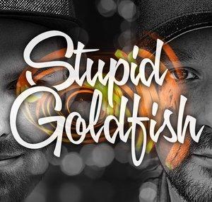 Stupid Goldfish