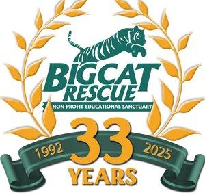 Big Cat Rescue