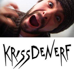 KrisSdeNerf