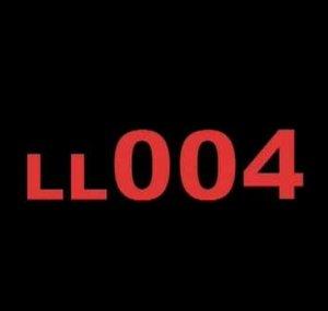 LegoLeader004