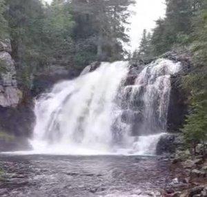 MANofNATURE