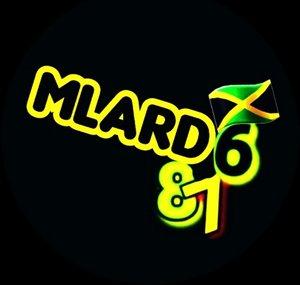 Mlard 876